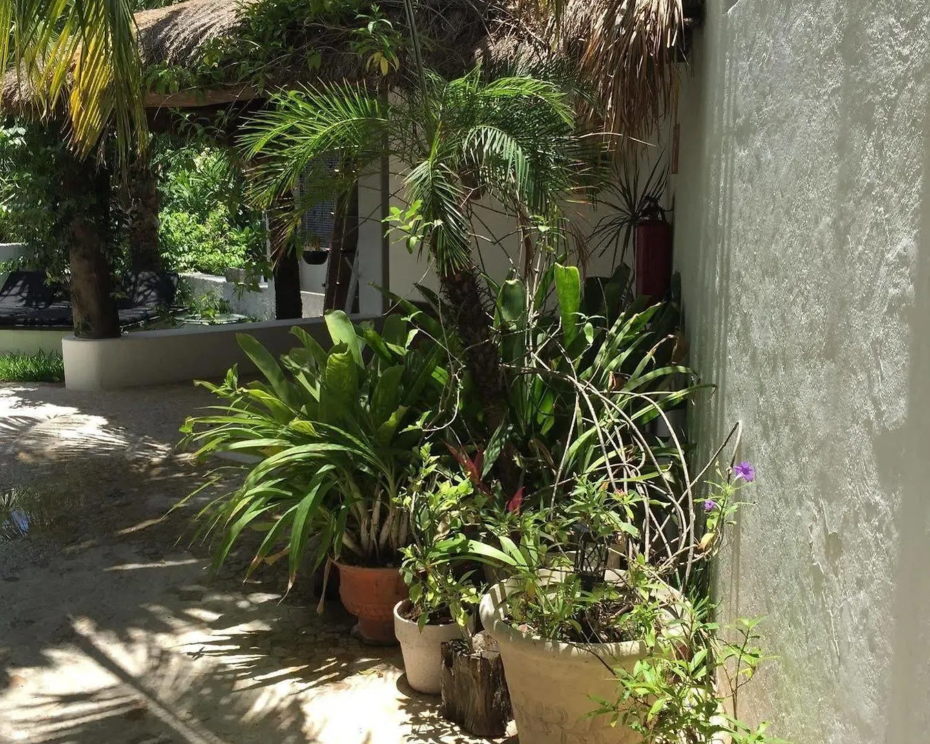 Mi Casa En Cozumel Hotel