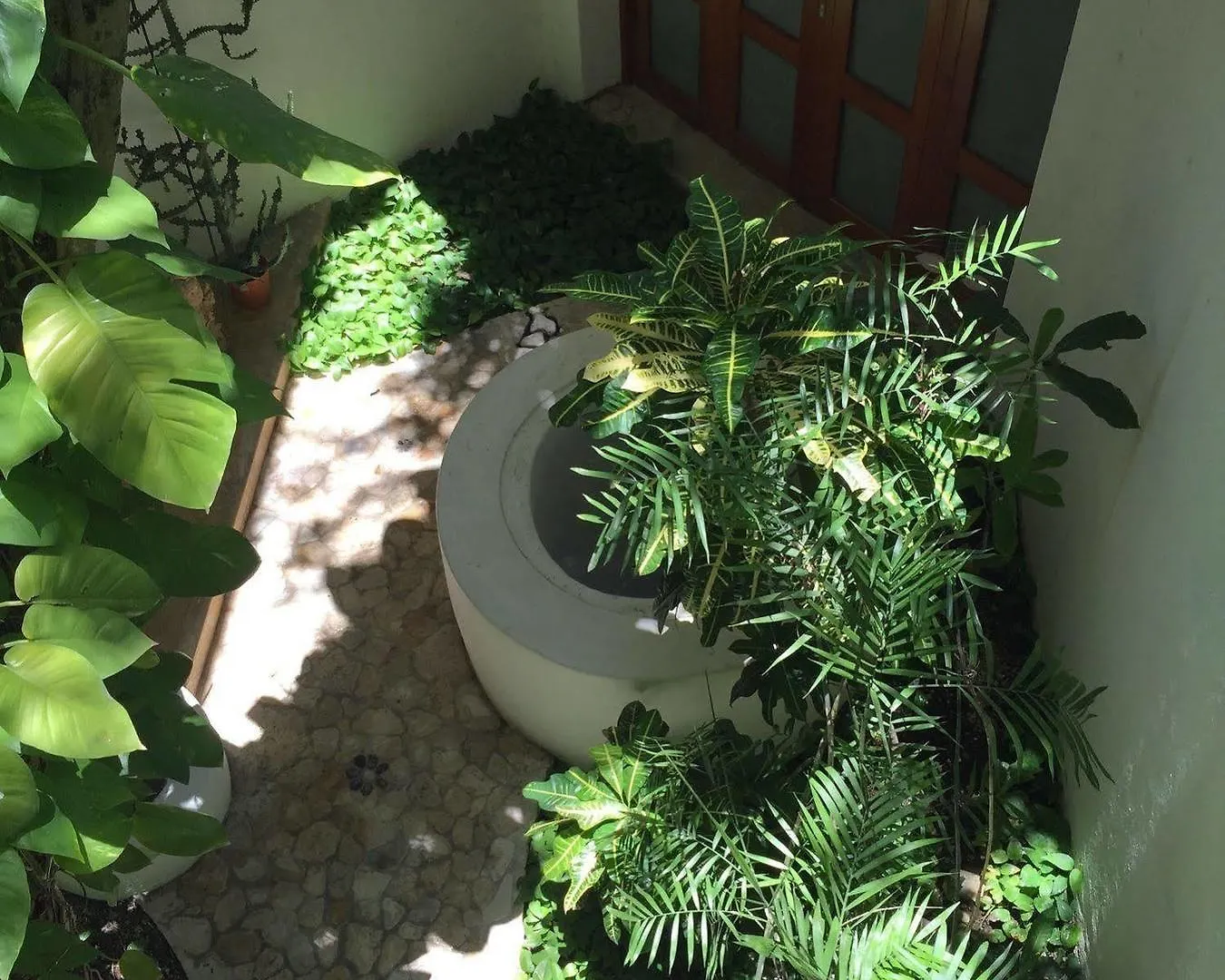 Mi Casa En Cozumel Hotel Mexico