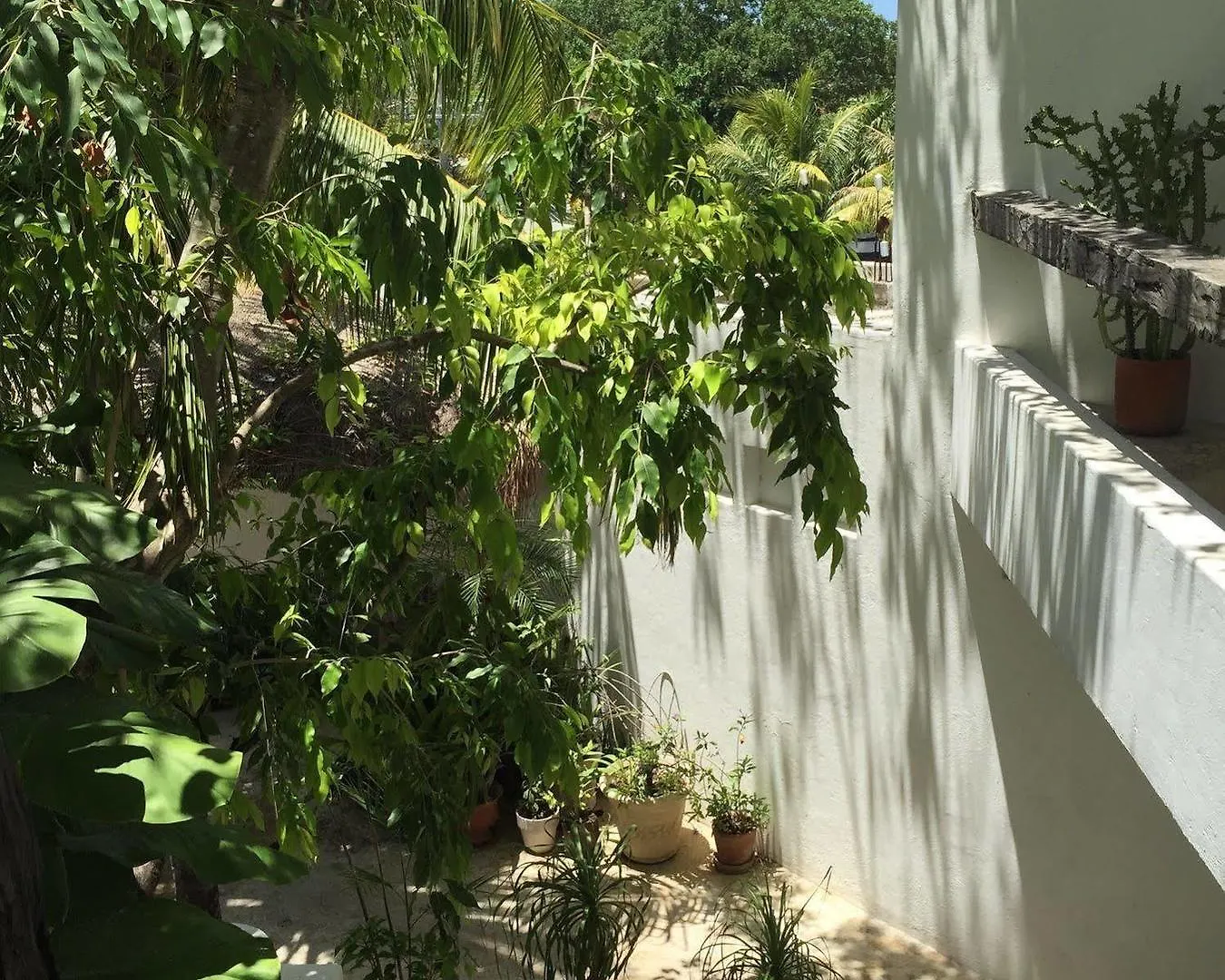 Mi Casa En Cozumel Hotel Mexico