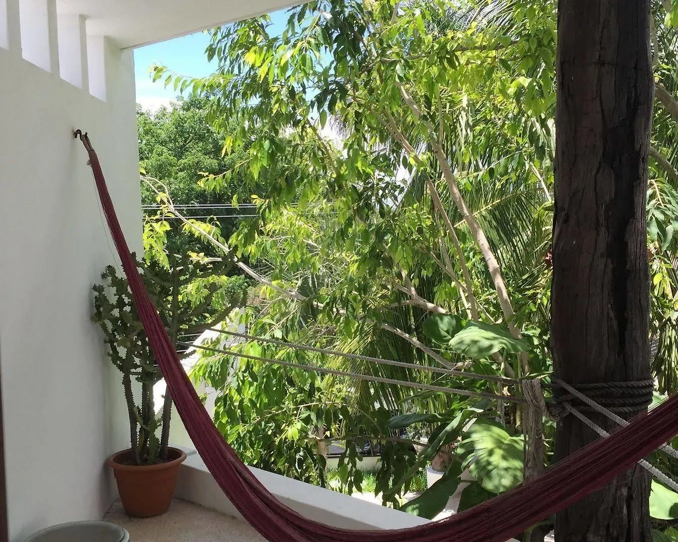 Hotel Mi Casa En Cozumel Mexiko